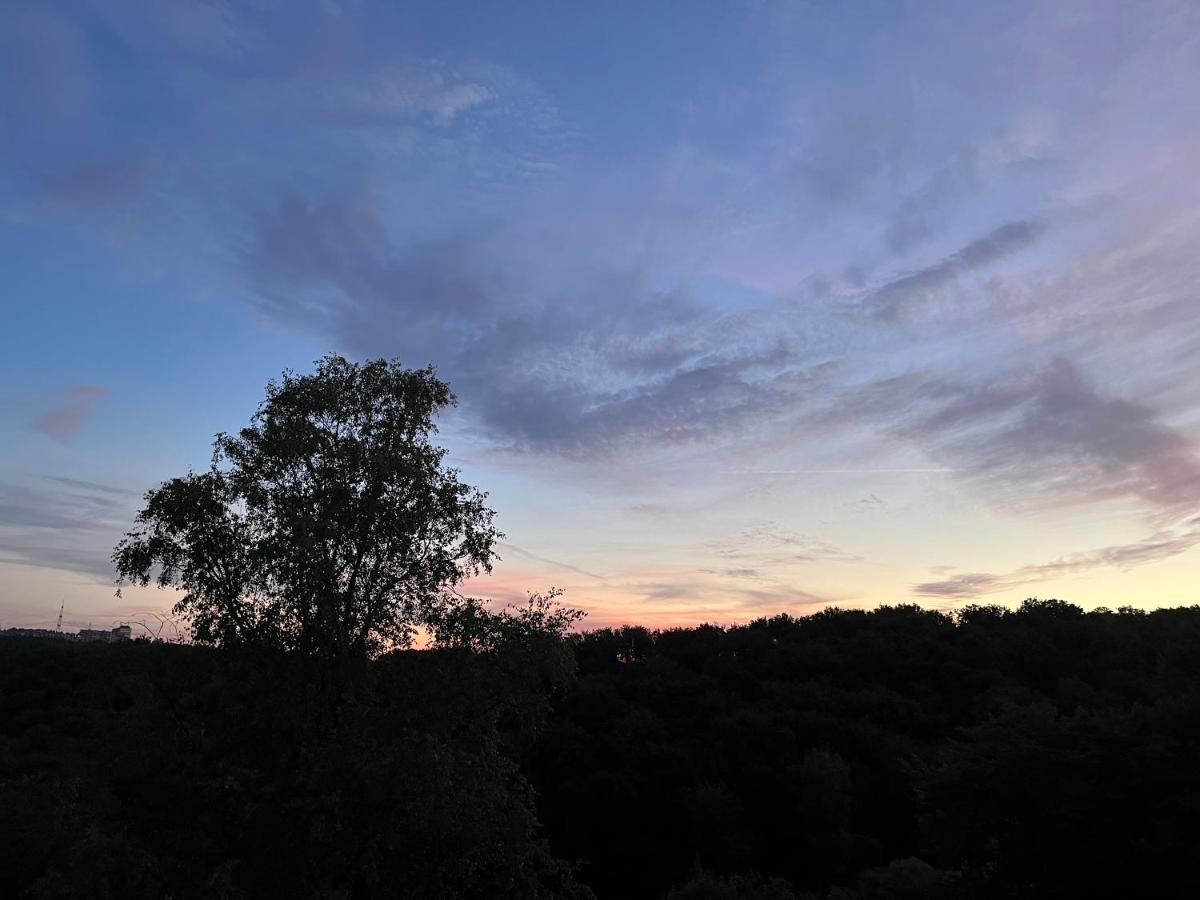Ferienwohnungen Waldblick Remscheid Exteriör bild